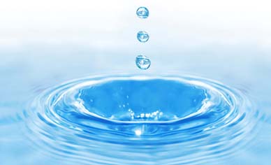 Septic Solutions